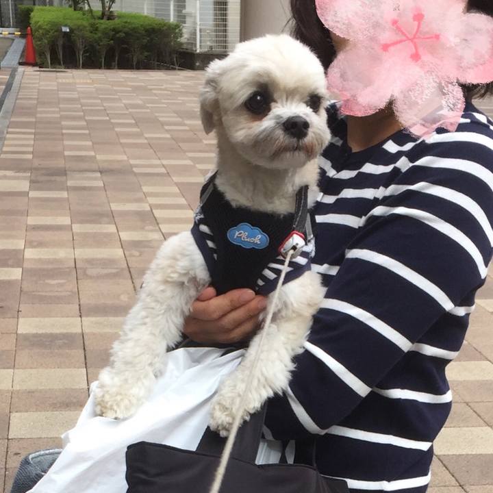 Dff351cd 9d57 4594 aefd 44a2f232a48d 1523778766161