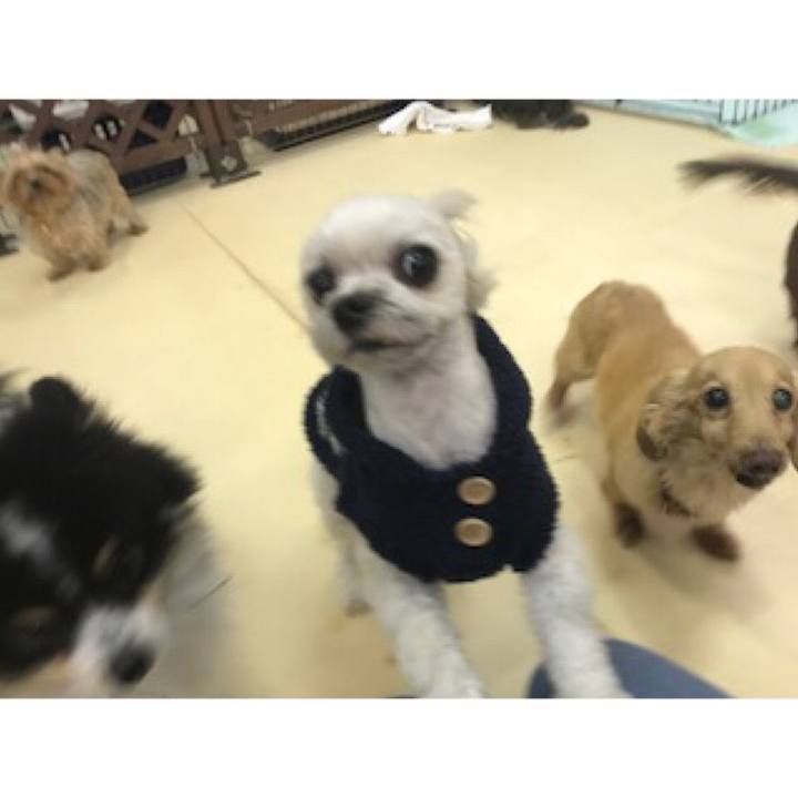 Dff38e18 e922 453a a2d6 48cdc3e3fe6a 1516708903452