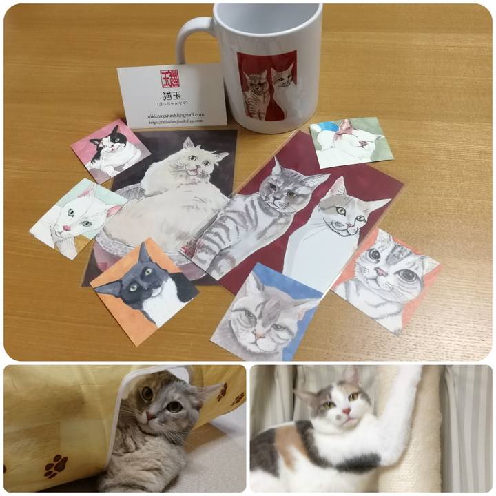 Dff3abf7 b0e2 4c70 8323 3ddbbb289465 1551358214914