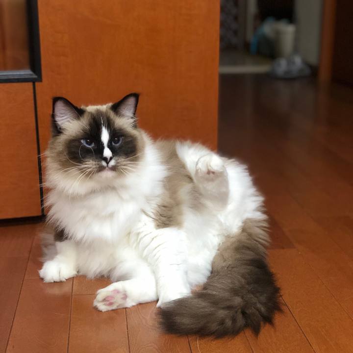 Dff3be5a 0d64 4312 8edc 5a5b1de4bcee 1546749963852