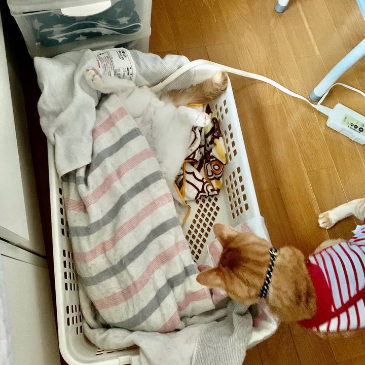 Dff3beea f4cb 4306 84f6 8dc875edd72a 1587894487626