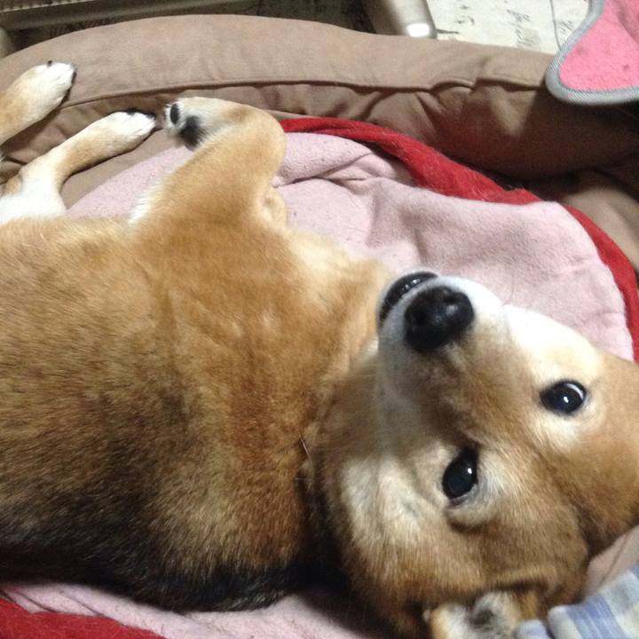 Dff40838 7168 44d7 8e4b 02c093059e2b 1515401263512