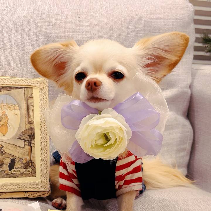 Dff419a3 24cc 4dbd 80ea 5831062c4721 1704010842702