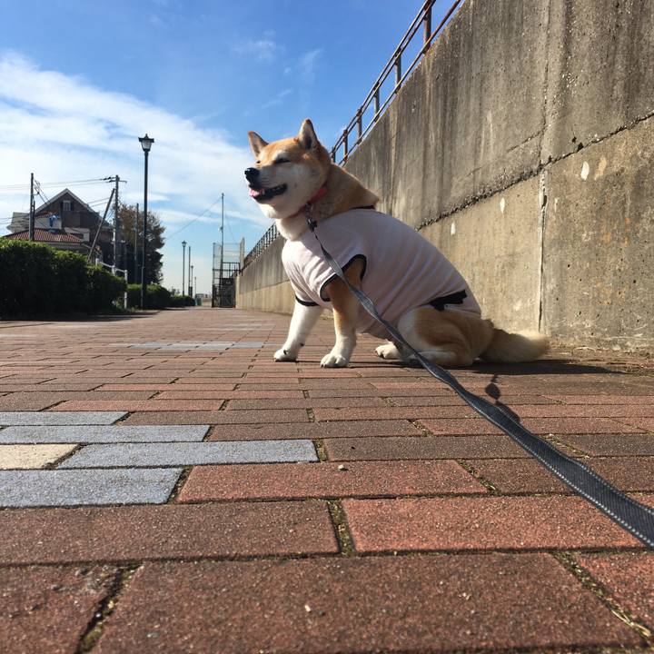 Dff454b0 1e83 450d a52a 32ecfb223fe5 1573099384417