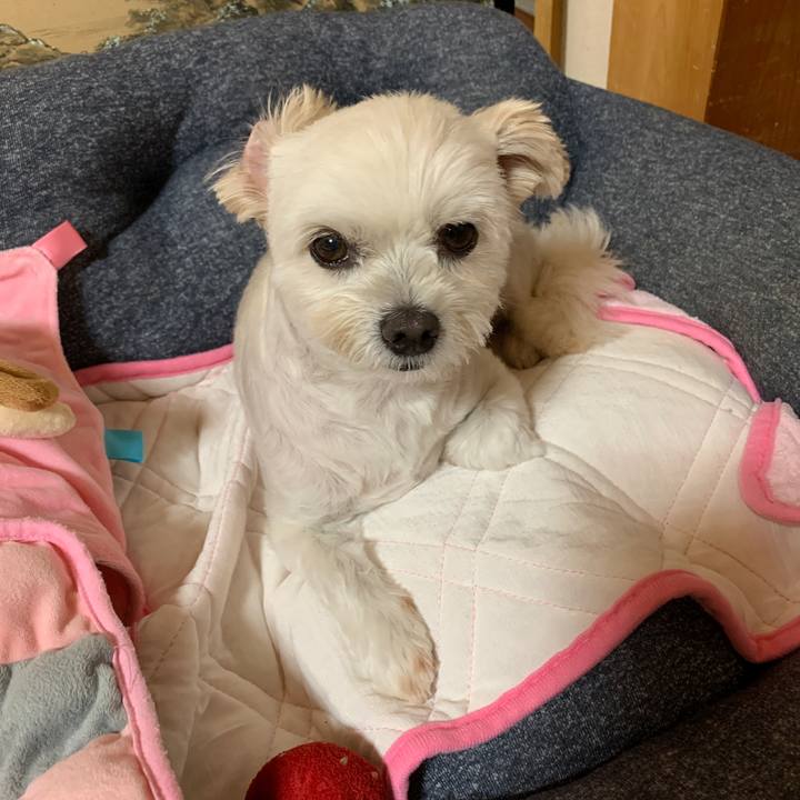 Dff46906 9eda 454e afcf 0001b6d08e2d 1629110797661