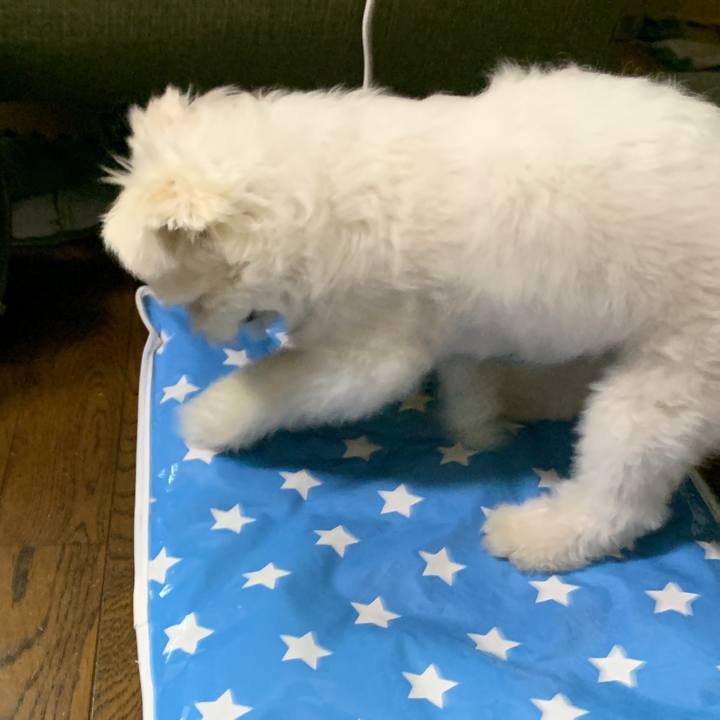 Dff46abe 4599 430c b0ef b212d05bc77a 1658643908548