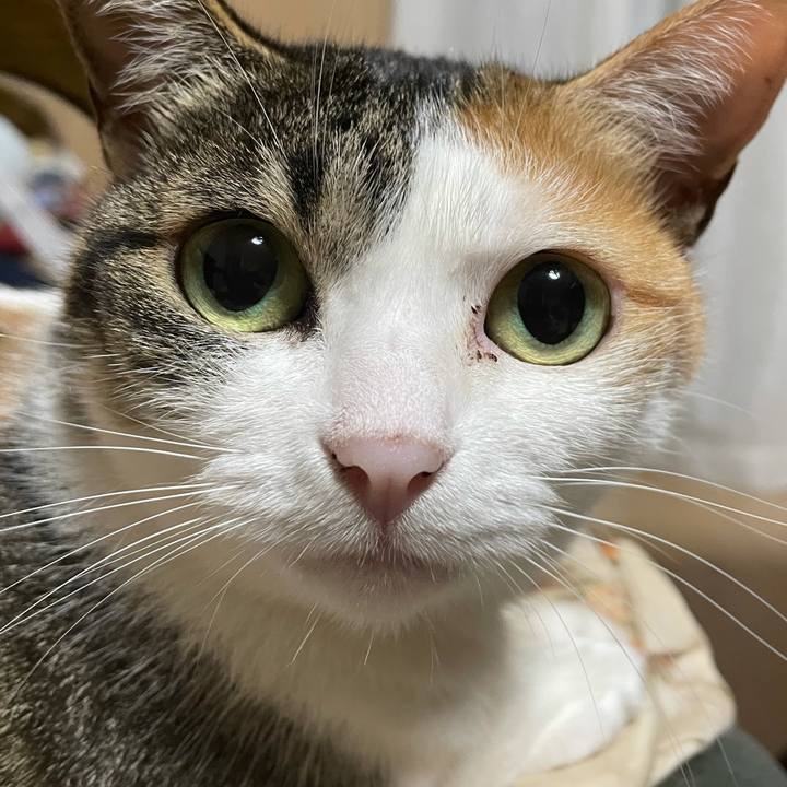 Dff49892 ef3b 48e0 8ef0 9daa8f80b33b 1622727082519