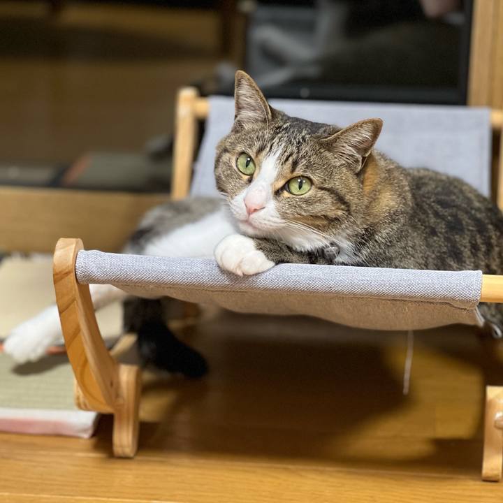 Dff4cfa7 8dad 4848 a767 f93914982941 1765537131554