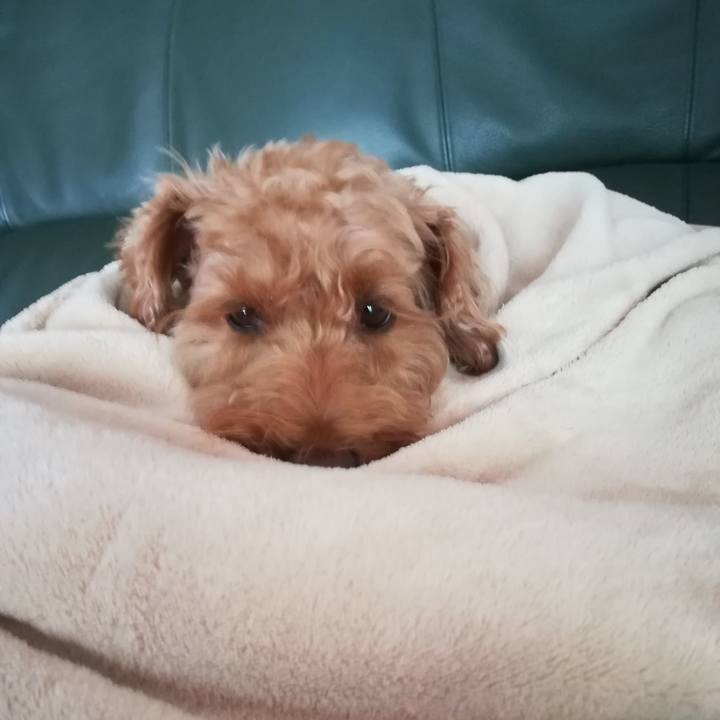 Dff4db4c 831a 4564 a986 b829191fde3a 1525993366641