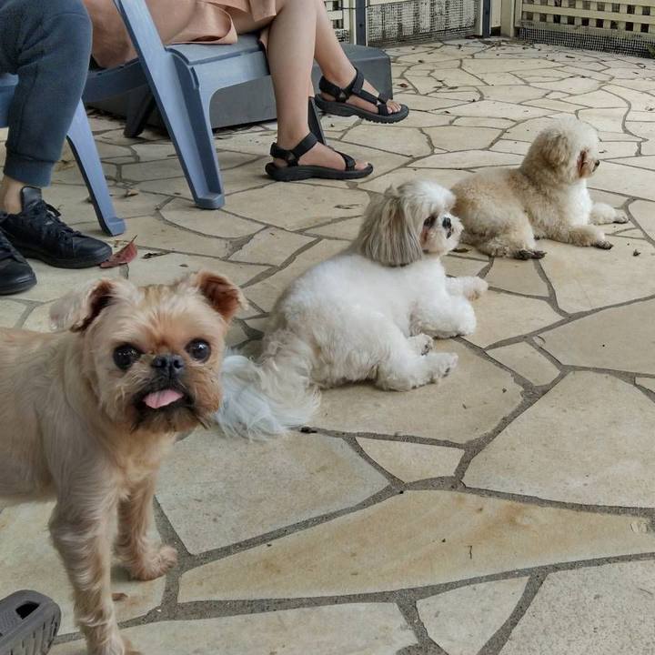 Dff4e1a7 3aea 4b8c b51a 8aa9f2d50bbc 1632565474807