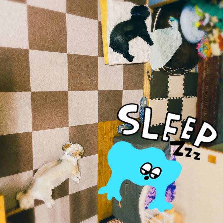 Dff51009 9179 40f5 b4e9 287c66ac3a90 1660969039044