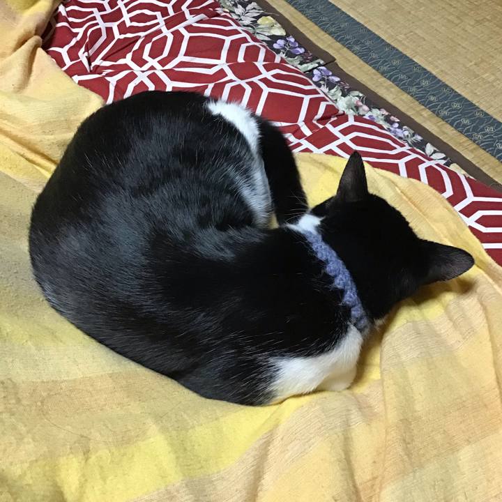 Dff511b6 6631 4a5b a965 6f7e6c3d8d97 1639389065339