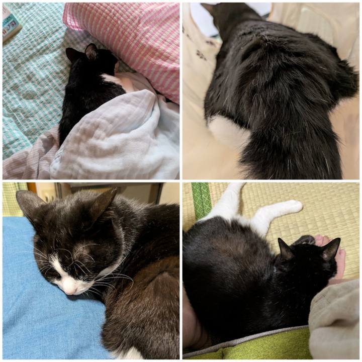 Dff51aa9 eecf 474c 87da e22847648e51 1759818887441