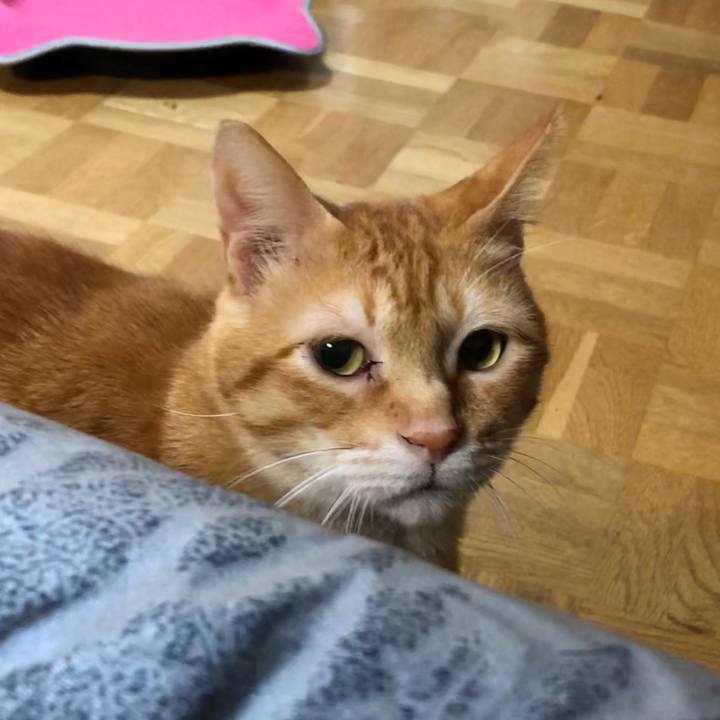 Dff54dea 74f9 4c70 ac74 98fc4ad3b411 1568894509671