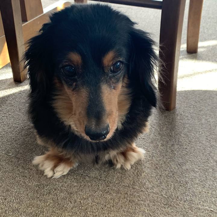 Dff57335 26fc 4fe4 b739 7aa5b39b4499 1590702652661