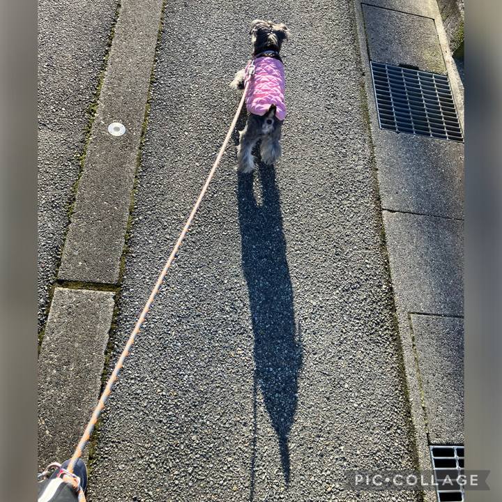 Dff5c557 305f 4ea5 8baf 7be61e0bd4ed 1772028462009