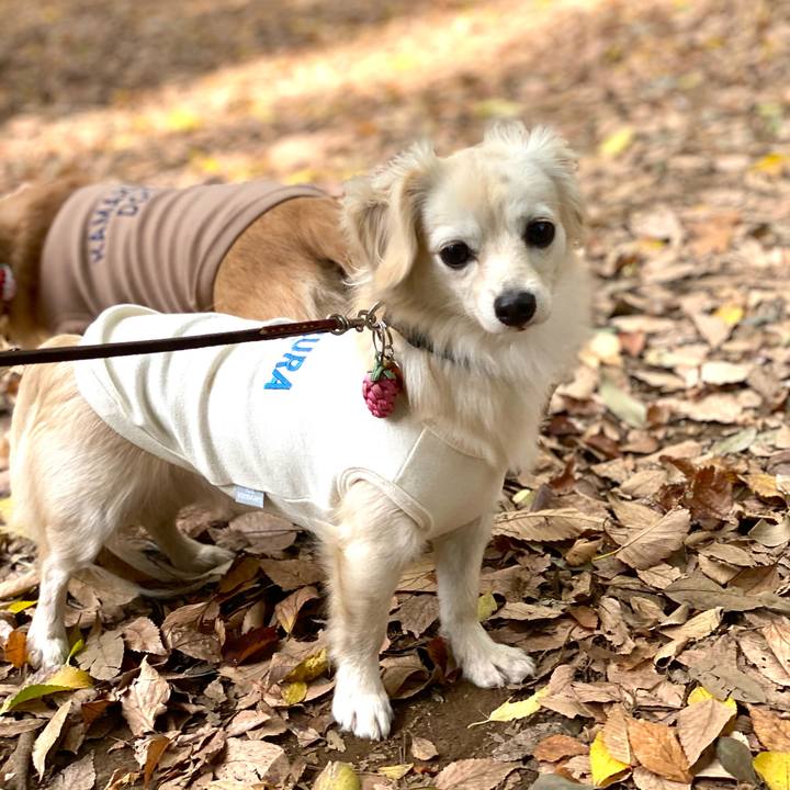 Dff608cb 518d 4bc9 976e 578a3cab4fbf 1668349218677