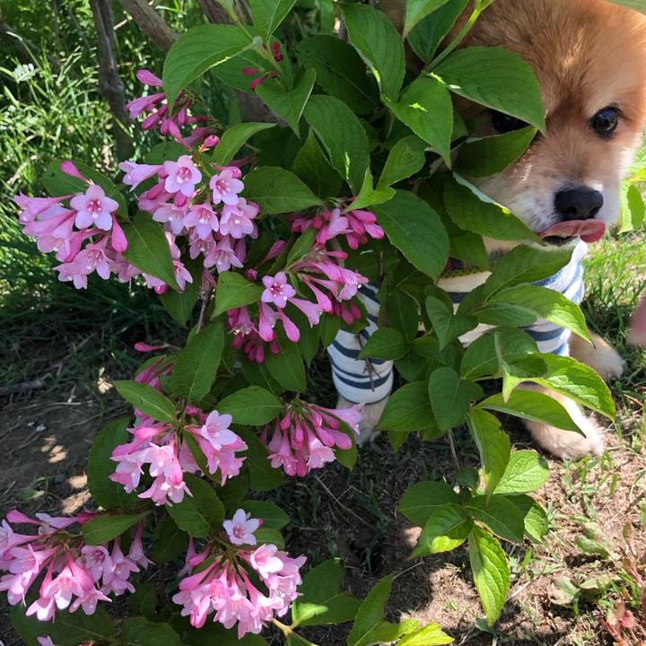 Dff61624 0fc5 43f6 9368 4c276f16f20a 1619442072389