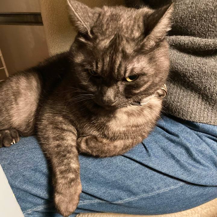 Dff64393 a527 4662 ba46 d1e9baaf3456 1766498603100