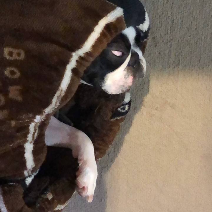 Dff6591f 4725 49ea b9b5 942ba41cfdfe 1636981800070