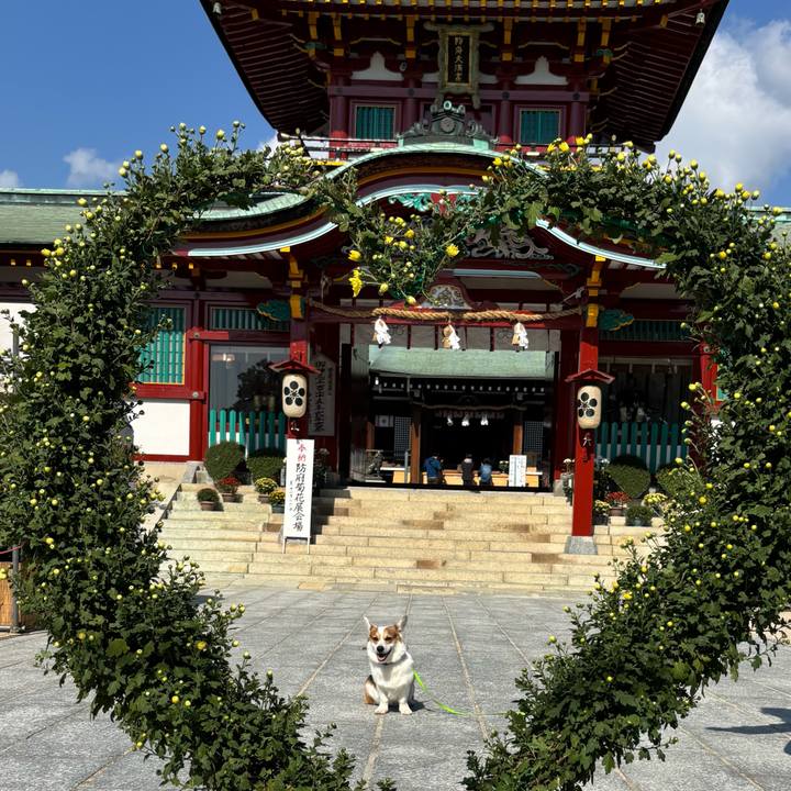 Dff66ef9 8498 4f40 ba31 73105e2128d5 1762664374004