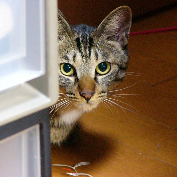 Dff67b17 060d 4912 a330 0600213ce117 1561288305253