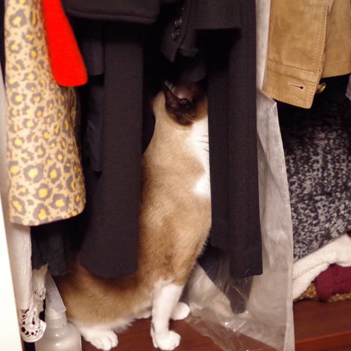 Dff6c2f0 2685 498d a0ec e732f67d5ee5 1554860754167