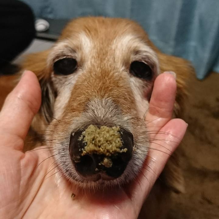 Dff6dd4c b9fe 4950 89e1 13b72f50c3cc 1509787970889