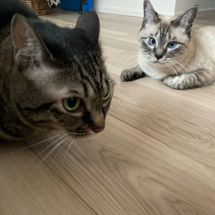 Dff6fd42 4c30 4e35 9507 604a6f8f80de 1658531260174