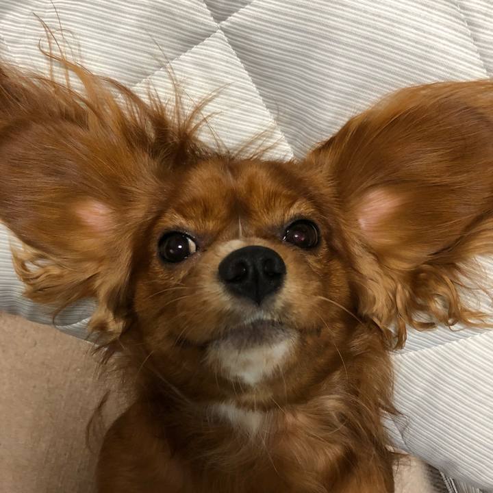 Dff71110 e5f1 480c b6bc d3c7a42c207a 1537716293469