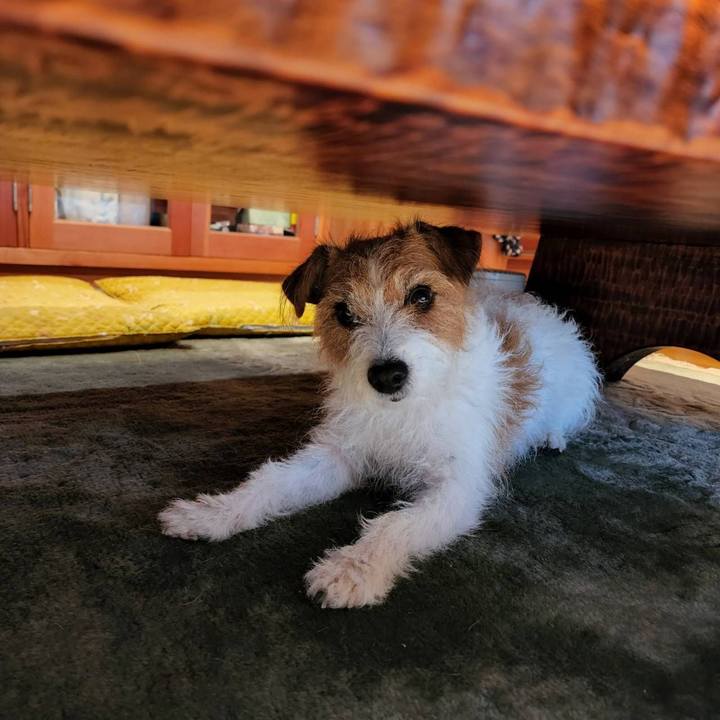 Dff716df 8761 4cad be5b 9cb3a0461a00 1669161176334