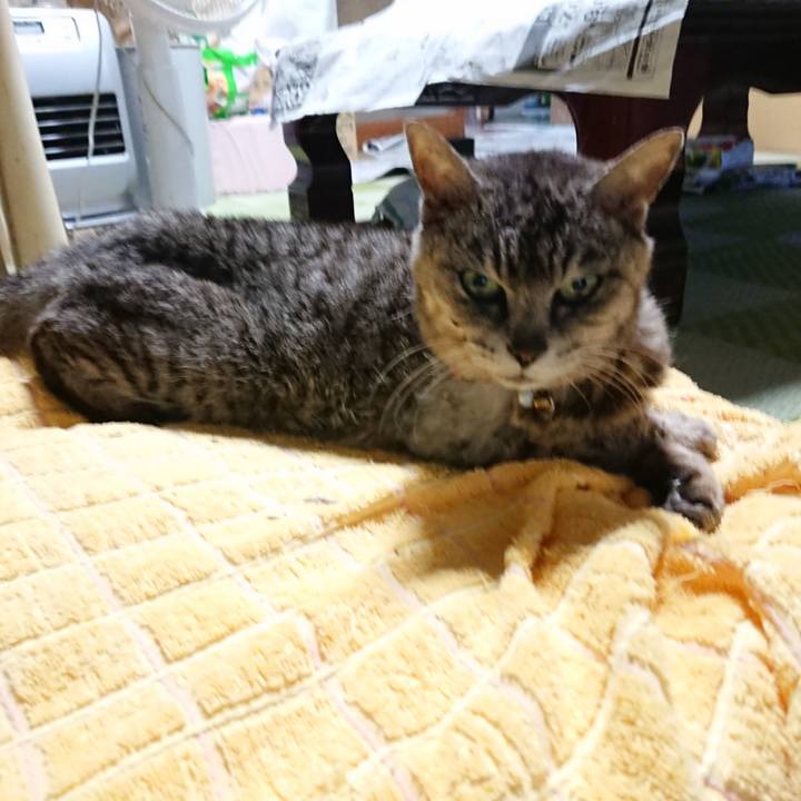 Dff71f51 dfa6 4e52 b0ce dfdb143c73e2 1594803443673