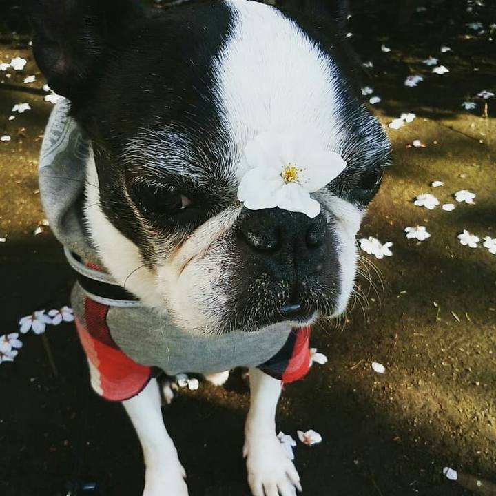 Dff73470 287f 4056 8645 52cebb025a11 1521979535179