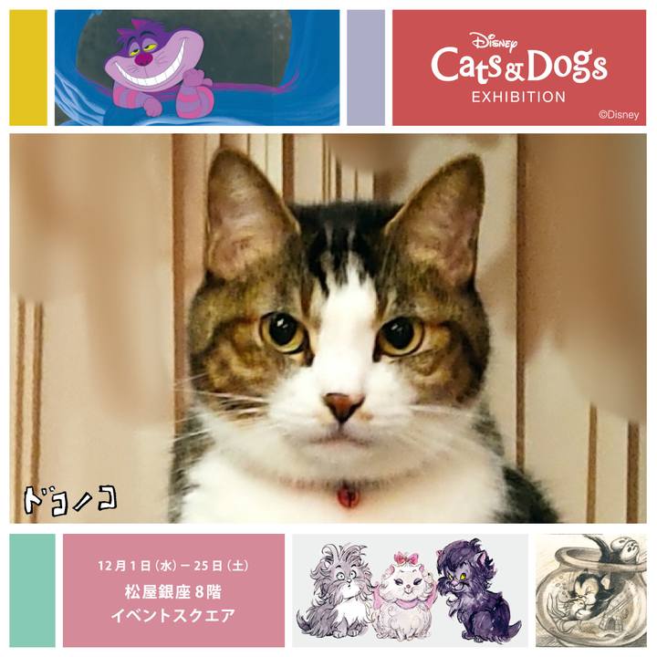 Dff73d77 a4cd 43df a276 042bbae815ea 1639466795358