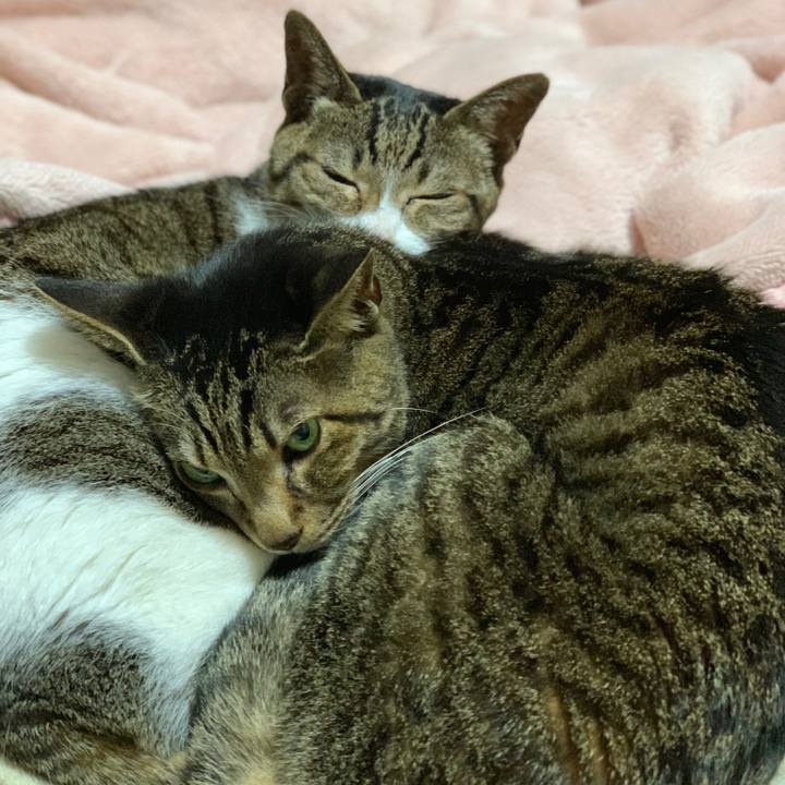 Dff74490 8258 4c40 9ba4 e63227d26524 1583630304738