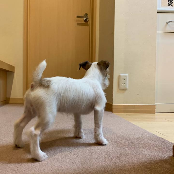 Dff74572 4297 4f8a b7c8 b5beb8fd5082 1562761425566