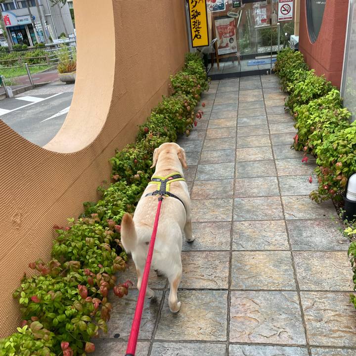 Dff754fa dab6 4b30 8216 45395c461d5f 1632814850000