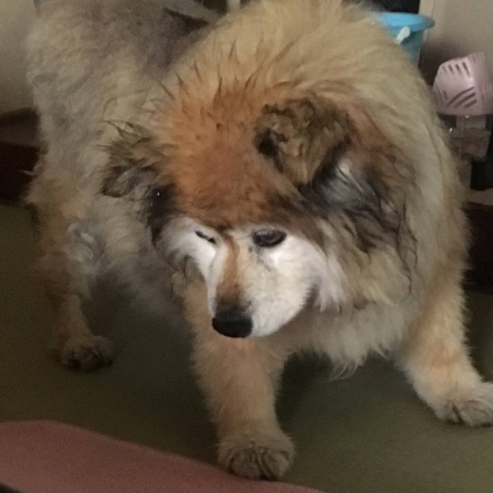 Dff7560e 1901 4068 aa08 e0836dc3bb41 1603453644574