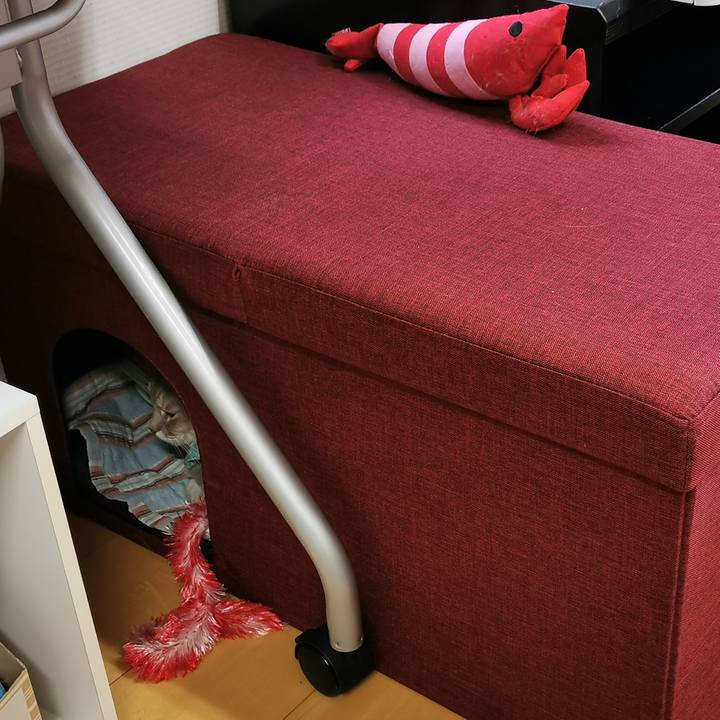 Dff75f7f 152a 4412 8e12 0bacc3e45df0 1675089908154