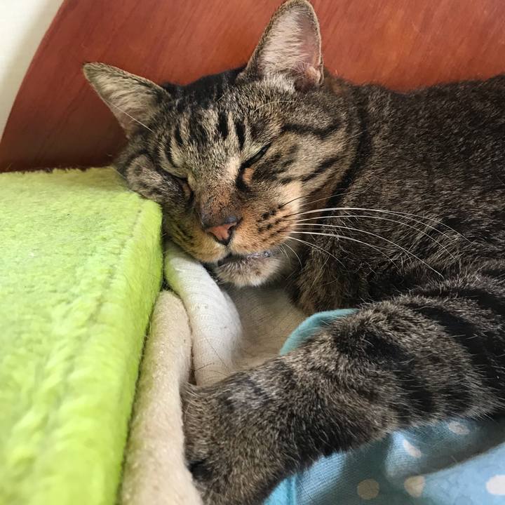 Dff77053 da04 4ae7 9902 86a953da6469 1589435680700