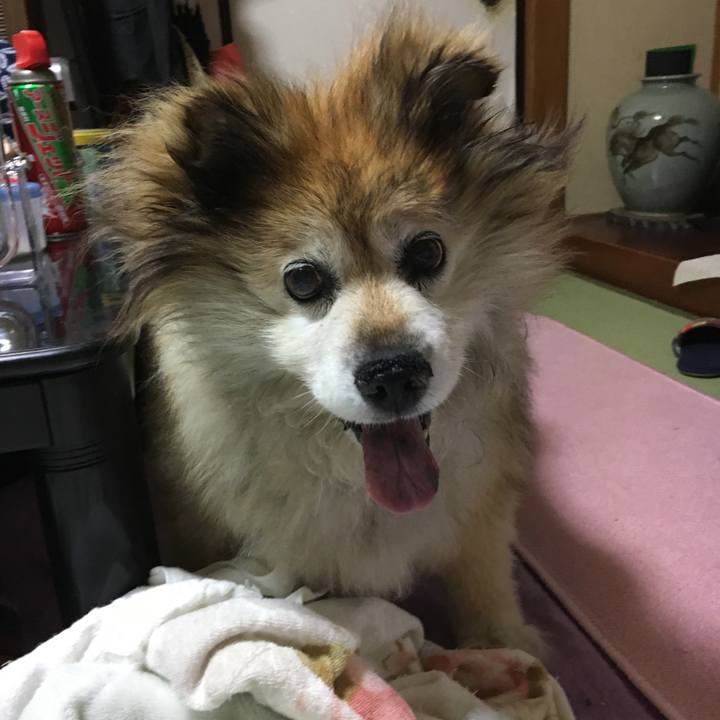 Dff7781f 9d6e 4266 be28 44274e33399d 1556909812327