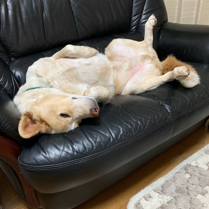 Dff79766 e0d9 4356 9a20 06158d98d3e6 1559140229954