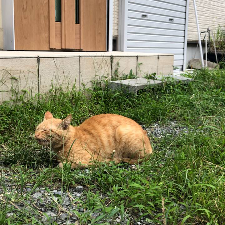 Dff7a34e 8af4 42d9 b713 ec842d426647 1568468032504