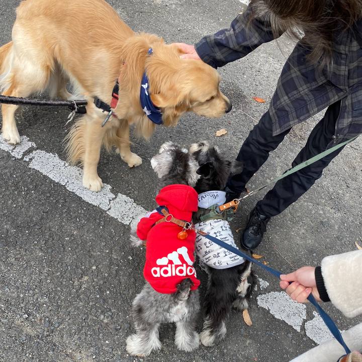 Dff7a6b9 ebe5 415e a3b9 eb0d25b9faee 1576389708546