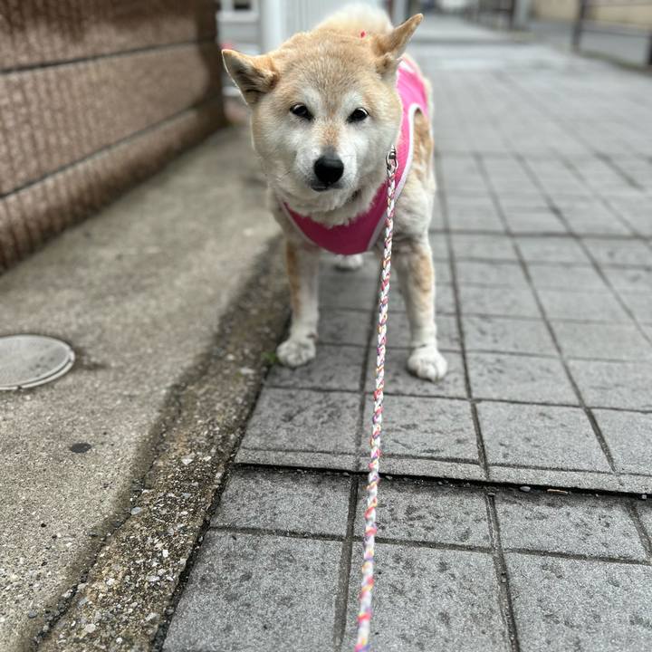 Dff7e92b 7def 4513 be2d f14bb5830b23 1746855680202