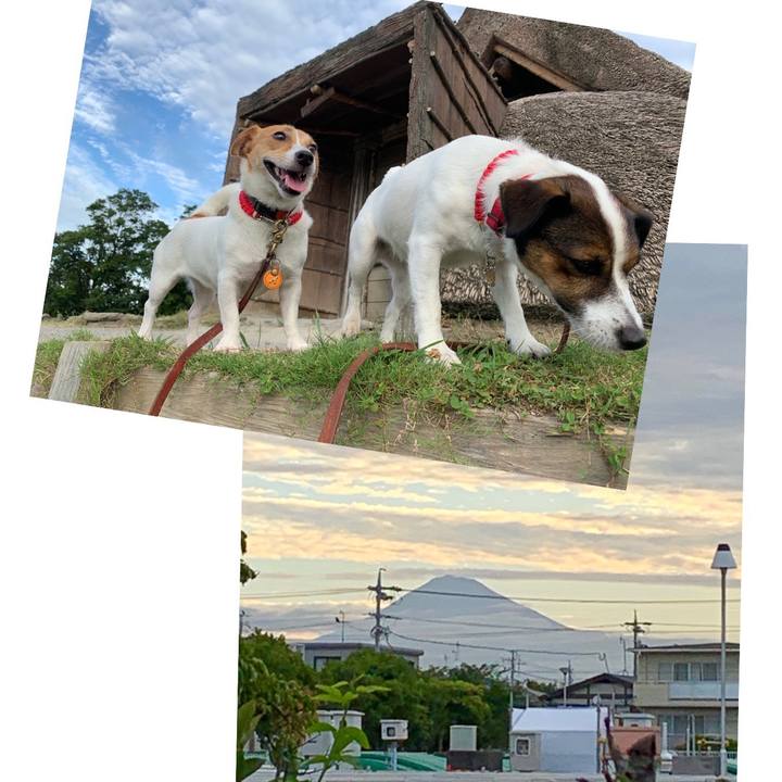 Dff7fc1b 74ce 415b 8db6 7f28f1aea71f 1565041259204