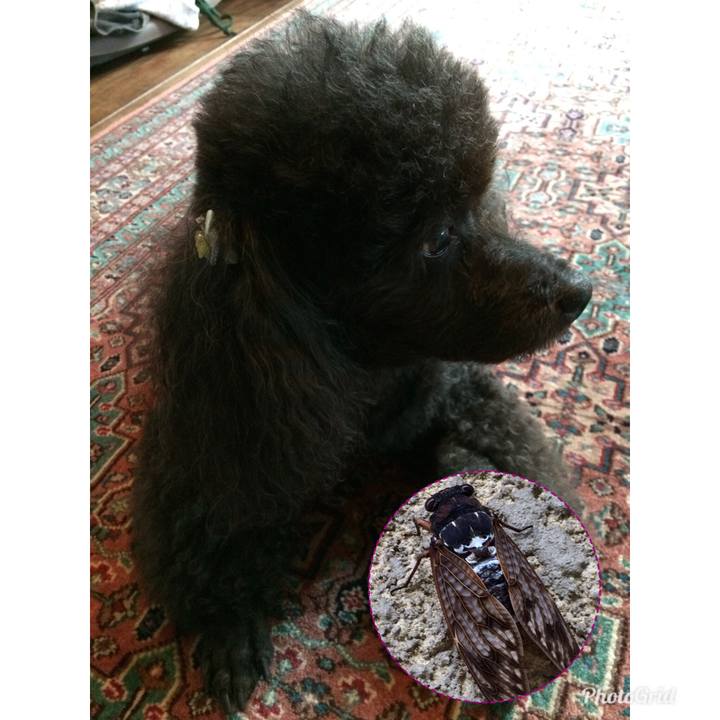 Dff7fcd7 71da 4617 9a27 7a12ed854ed4 1533690757810