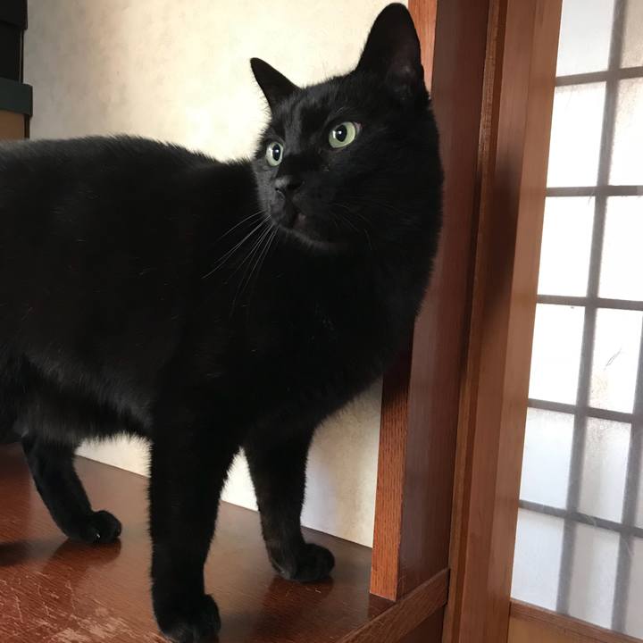 Dff80451 2454 42cb 9292 e664d726f28f 1514077306994