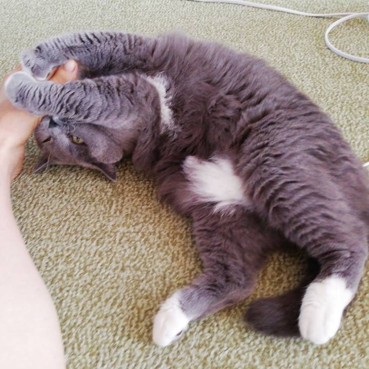 Dff81594 2205 4fd2 b422 9d5d0db4bcfa 1694730177888