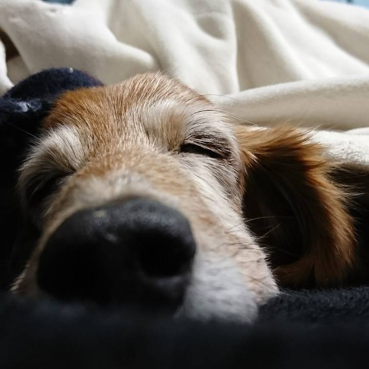 Dff832c0 32b0 4c50 ad6c d7d6f36b5ffe 1516974443439